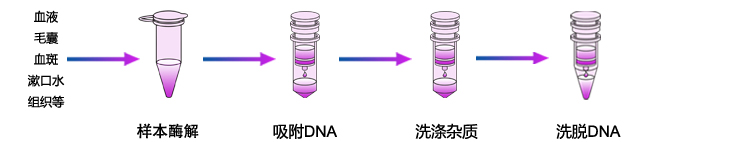 微量基因组DNA提取