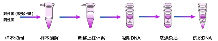 细菌基因组DNA提取