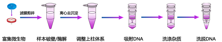 水体基因组DNA提取
