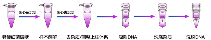 粪便基因组DNA提取-1