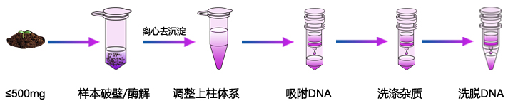 土壤基因组DNA提取