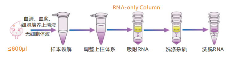 病毒RNA提取