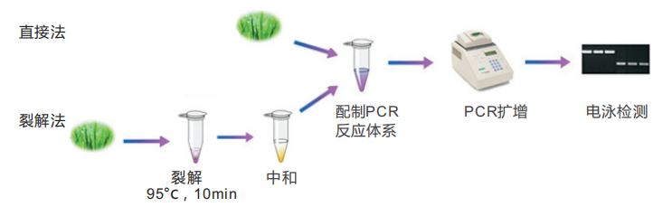 普通叶片