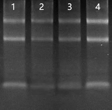 微信图片_20221107143043