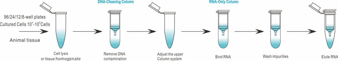 微信图片_20221107143438