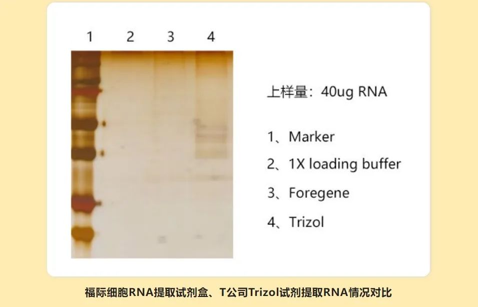 微信图片_20221107145404