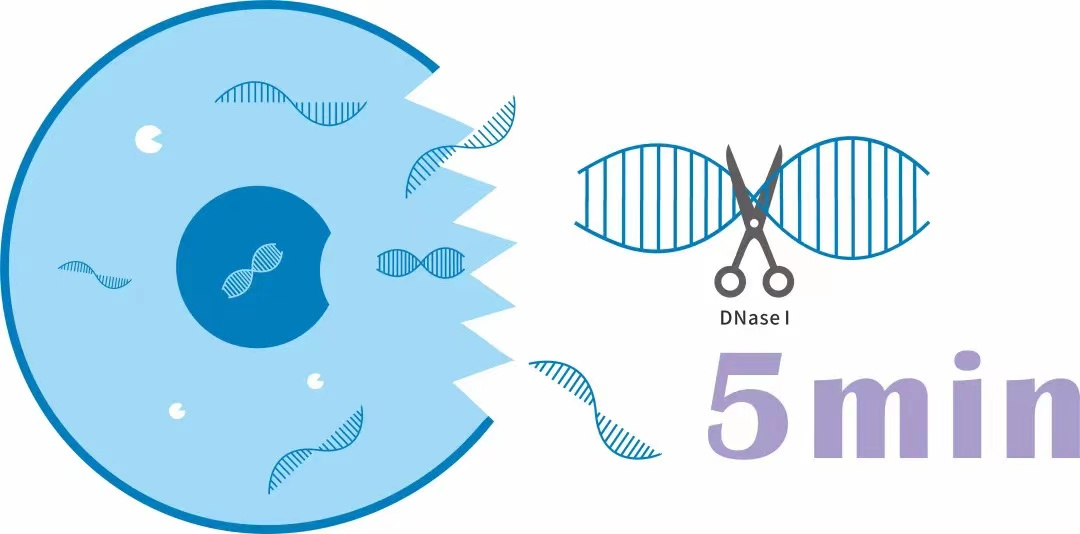 微信图片_20221205133741