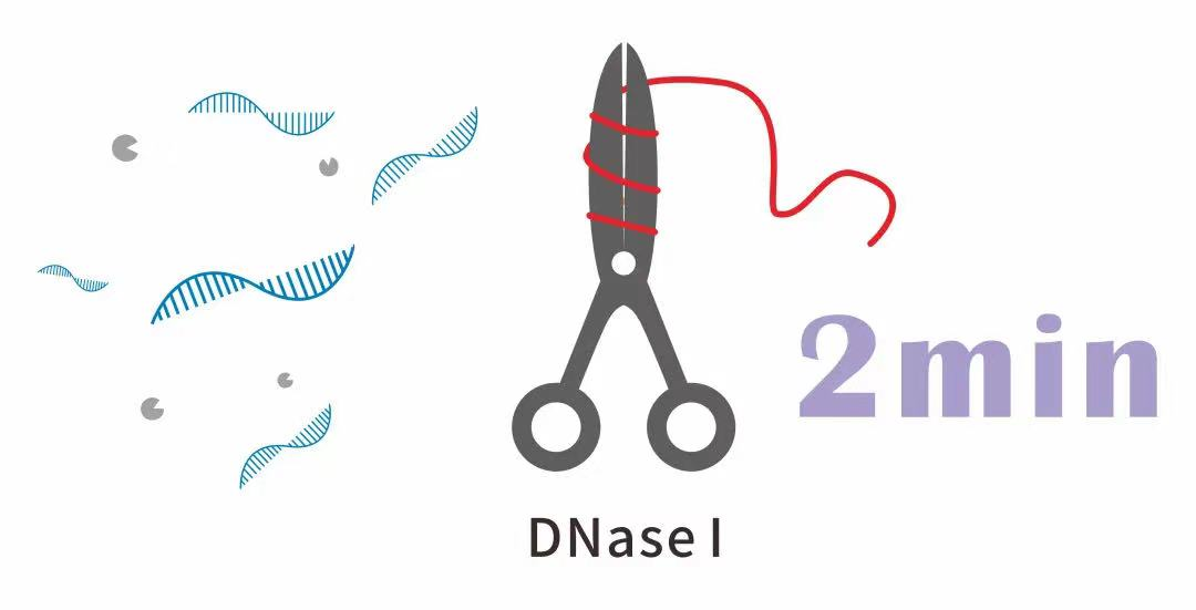 微信图片_20221205134316