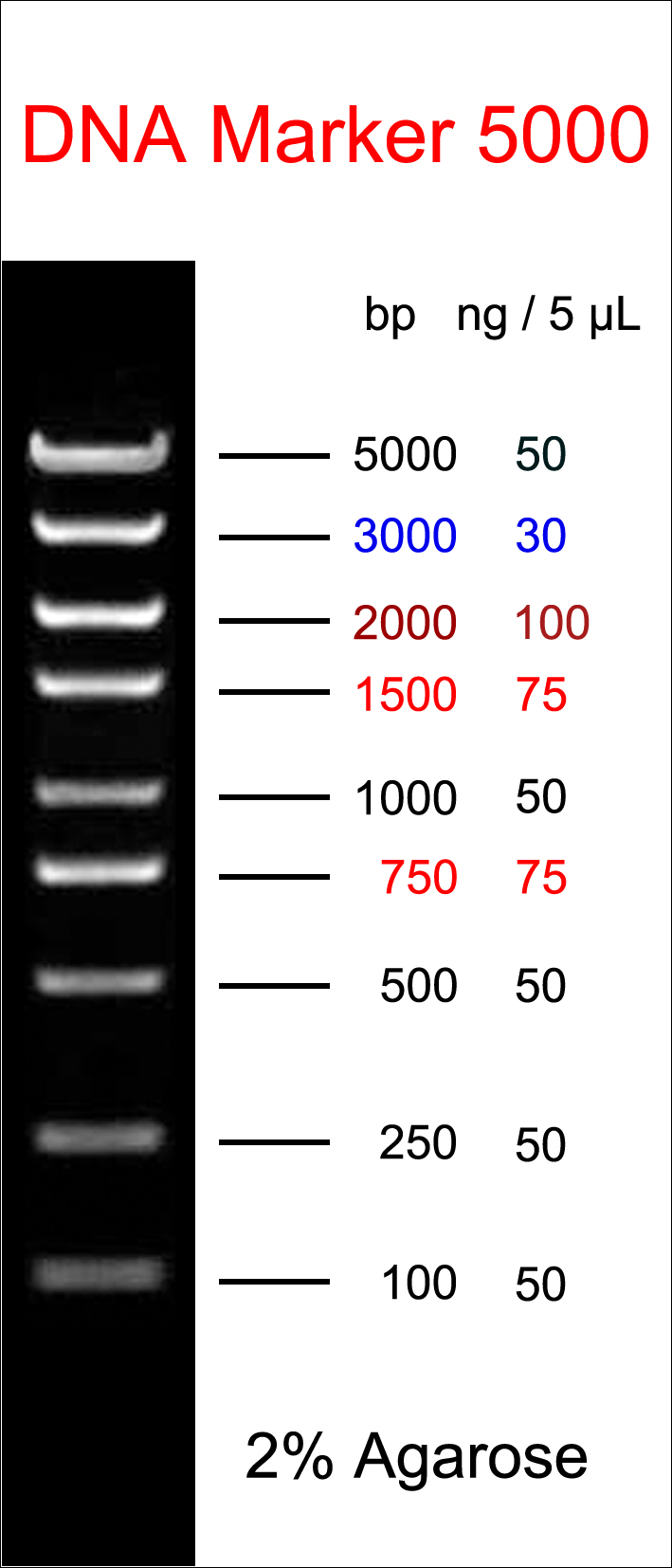 微信图片_5000
